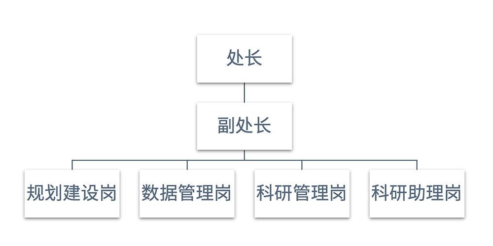 发展规划处